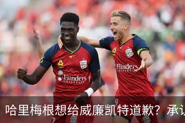 哈里梅根想给威廉凯特道歉？承认不该说王室种族歧视蛐蛐儿子肤色？